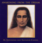 MP3 - Awakening from the Dream MP3 - Awakening from the Dream
